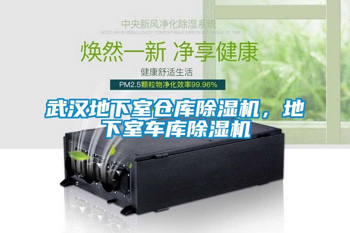 武漢地下室倉庫除濕機(jī)，地下室車庫除濕機(jī)
