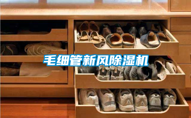 毛細(xì)管新風(fēng)除濕機(jī)