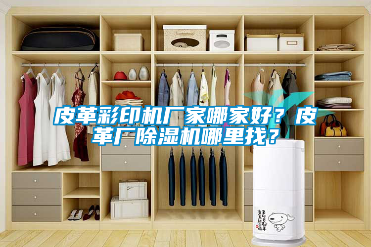 皮革彩印機(jī)廠家哪家好？皮革廠除濕機(jī)哪里找？