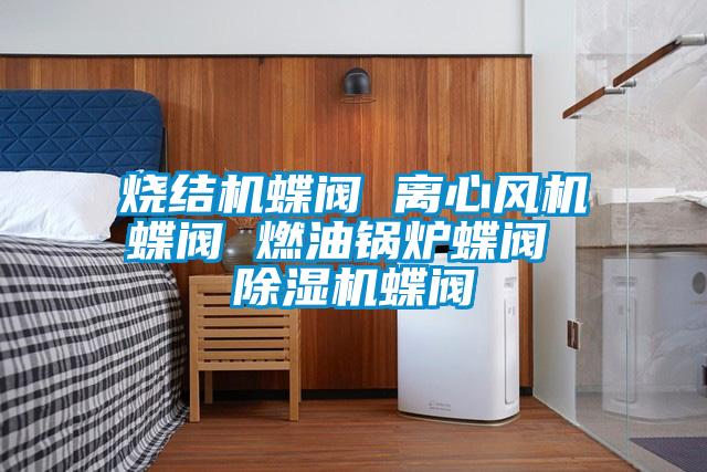 燒結(jié)機蝶閥 離心風(fēng)機蝶閥 燃油鍋爐蝶閥 除濕機蝶閥