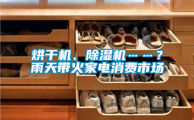 烘干機(jī)、除濕機(jī)……？雨天帶火家電消費(fèi)市場(chǎng)