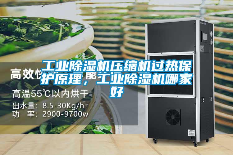 工業(yè)除濕機(jī)壓縮機(jī)過熱保護(hù)原理，工業(yè)除濕機(jī)哪家好