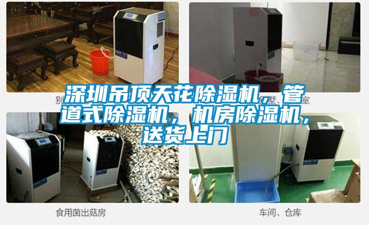 深圳吊頂天花除濕機(jī)，管道式除濕機(jī)，機(jī)房除濕機(jī)，送貨上門(mén)