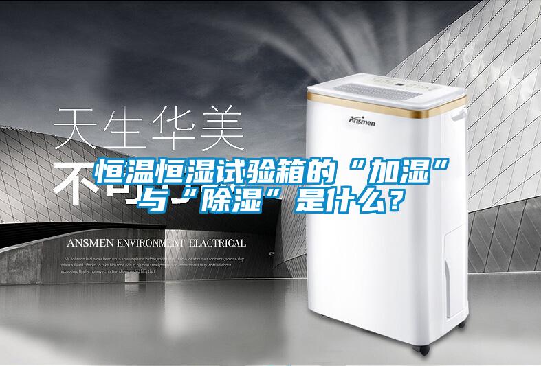 恒溫恒濕試驗(yàn)箱的“加濕”與“除濕”是什么？