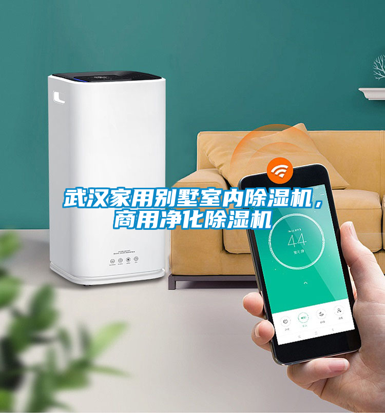 武漢家用別墅室內除濕機，商用凈化除濕機