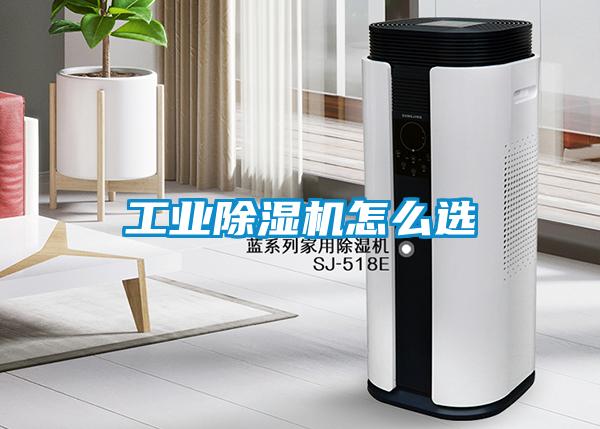 工業(yè)除濕機怎么選