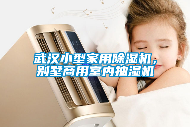 武漢小型家用除濕機，別墅商用室內(nèi)抽濕機