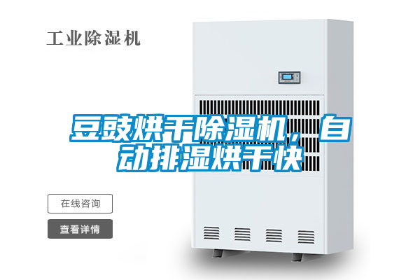 豆豉烘干除濕機(jī)，自動排濕烘干快