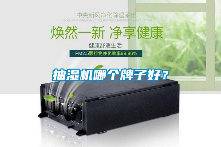 抽濕機(jī)哪個(gè)牌子好？