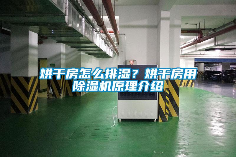 烘干房怎么排濕？烘干房用除濕機原理介紹