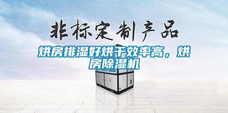 烘房排濕好烘干效率高，烘房除濕機(jī)