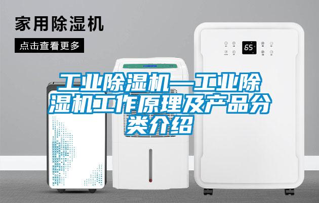 工業(yè)除濕機(jī)—工業(yè)除濕機(jī)工作原理及產(chǎn)品分類介紹