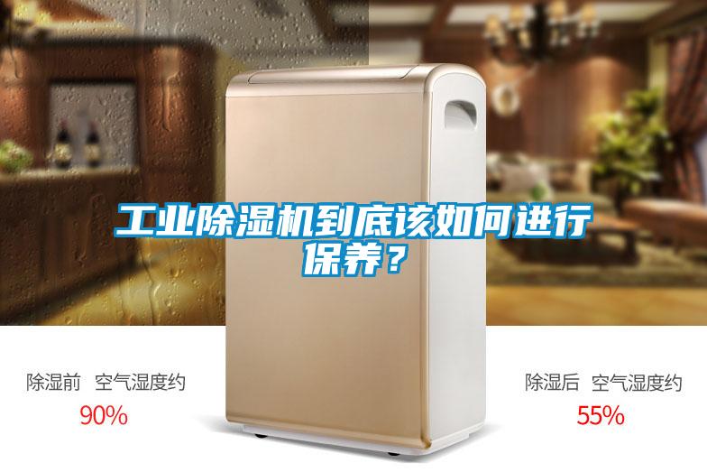 工業(yè)除濕機(jī)到底該如何進(jìn)行保養(yǎng)？