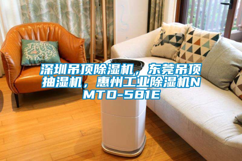 深圳吊頂除濕機，東莞吊頂抽濕機，惠州工業(yè)除濕機NMTD-581E