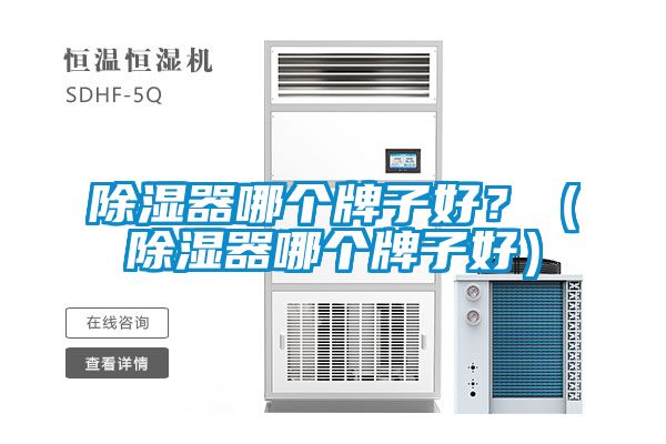 除濕器哪個牌子好？（除濕器哪個牌子好）