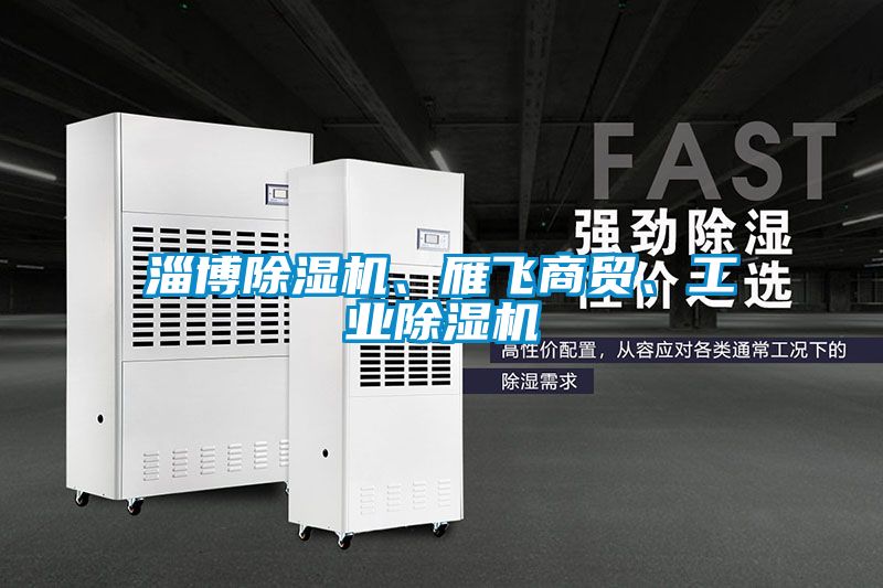 淄博除濕機、雁飛商貿、工業(yè)除濕機