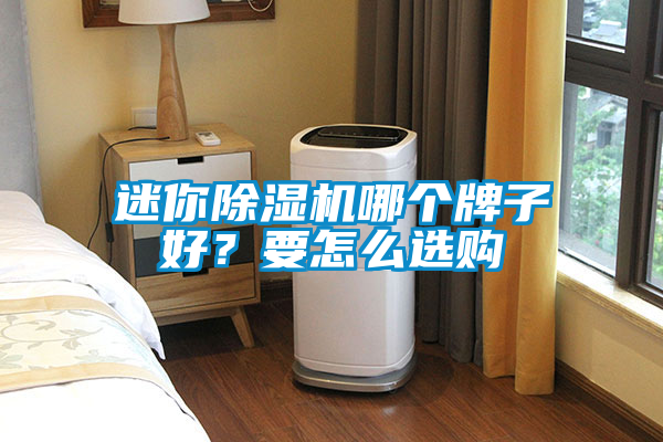 迷你除濕機哪個牌子好？要怎么選購