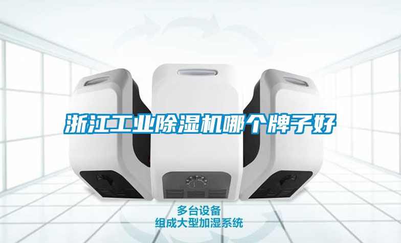 浙江工業(yè)除濕機(jī)哪個(gè)牌子好