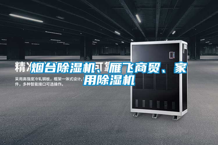 煙臺(tái)除濕機(jī)、雁飛商貿(mào)、家用除濕機(jī)