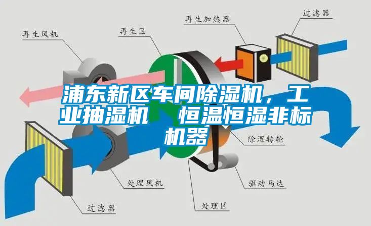 浦東新區(qū)車間除濕機(jī)，工業(yè)抽濕機(jī)  恒溫恒濕非標(biāo)機(jī)器