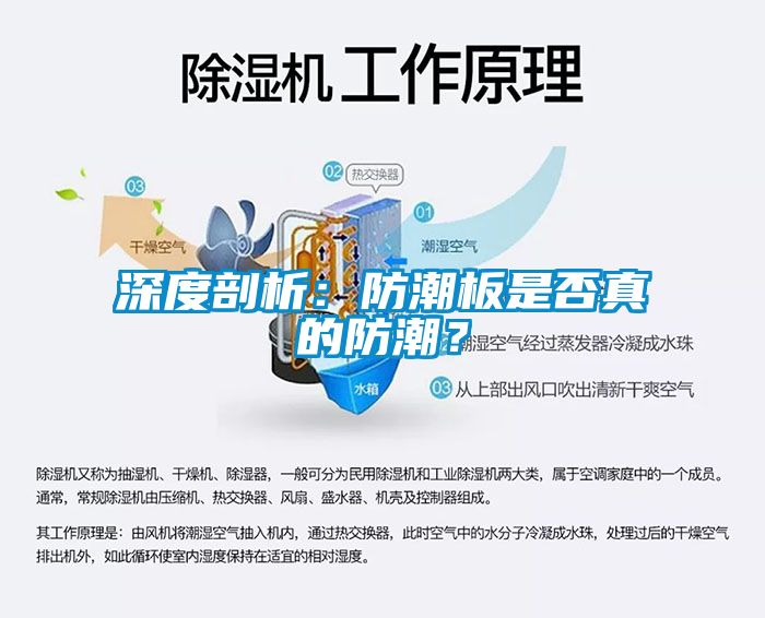 深度剖析：防潮板是否真的防潮？