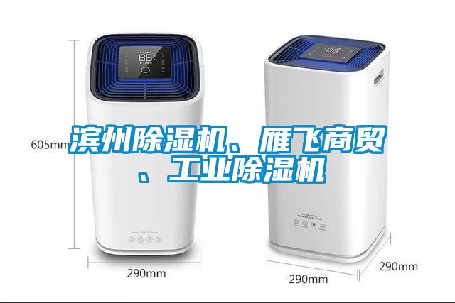 濱州除濕機(jī)、雁飛商貿(mào)、工業(yè)除濕機(jī)