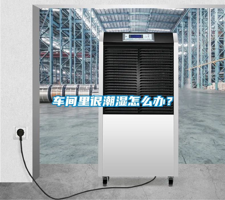 車間里很潮濕怎么辦？