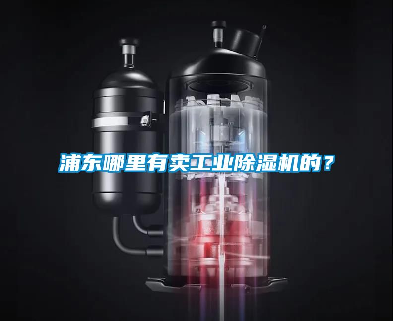 浦東哪里有賣(mài)工業(yè)除濕機(jī)的？