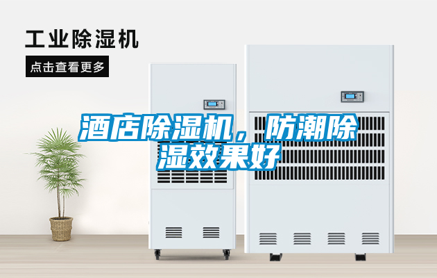 酒店除濕機(jī)，防潮除濕效果好