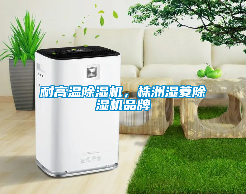 耐高溫除濕機，株洲濕菱除濕機品牌