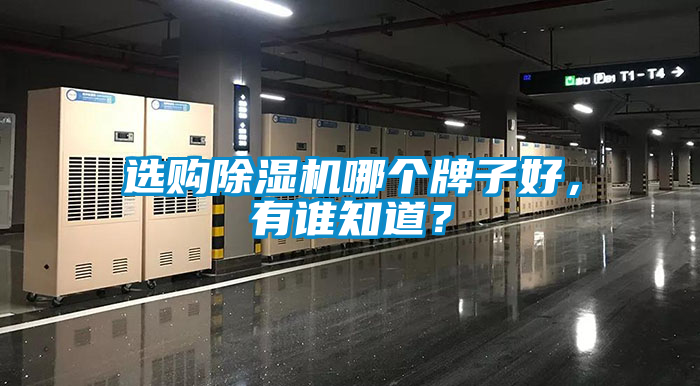 選購(gòu)除濕機(jī)哪個(gè)牌子好，有誰(shuí)知道？