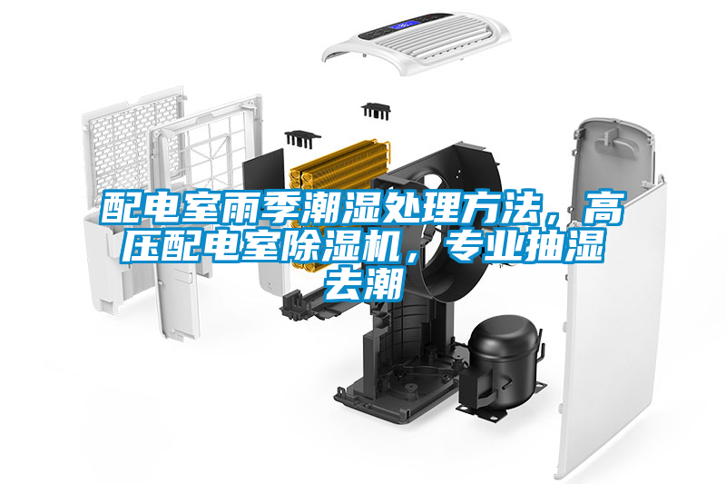 配電室雨季潮濕處理方法，高壓配電室除濕機(jī)，專(zhuān)業(yè)抽濕去潮
