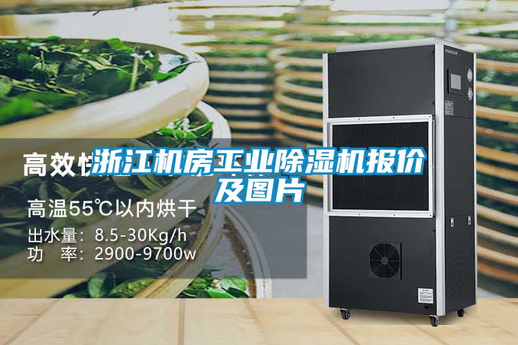 浙江機(jī)房工業(yè)除濕機(jī)報(bào)價(jià)及圖片