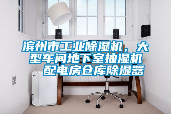 濱州市工業(yè)除濕機(jī)，大型車間地下室抽濕機(jī)  配電房倉(cāng)庫(kù)除濕器