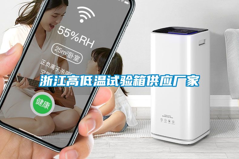 浙江高低溫試驗箱供應(yīng)廠家