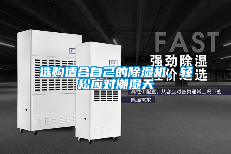 選購適合自己的除濕機(jī)，輕松應(yīng)對潮濕天
