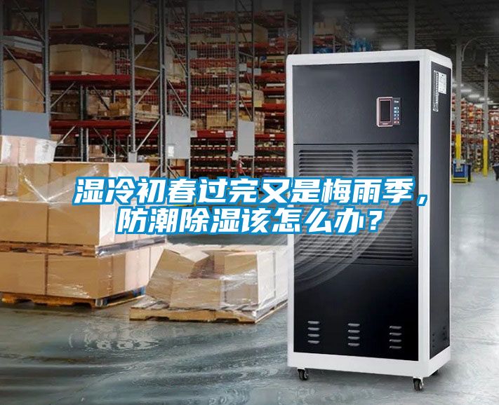 濕冷初春過完又是梅雨季，防潮除濕該怎么辦？
