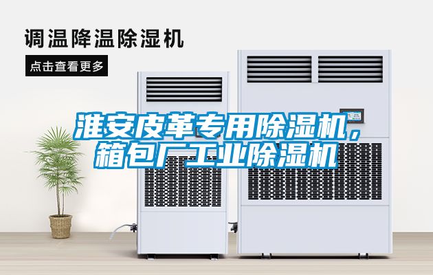 淮安皮革專用除濕機(jī)，箱包廠工業(yè)除濕機(jī)