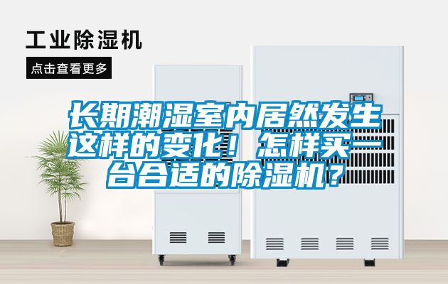 長期潮濕室內(nèi)居然發(fā)生這樣的變化！怎樣買一臺合適的除濕機(jī)？