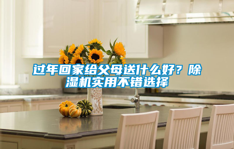 過(guò)年回家給父母送什么好？除濕機(jī)實(shí)用不錯(cuò)選擇