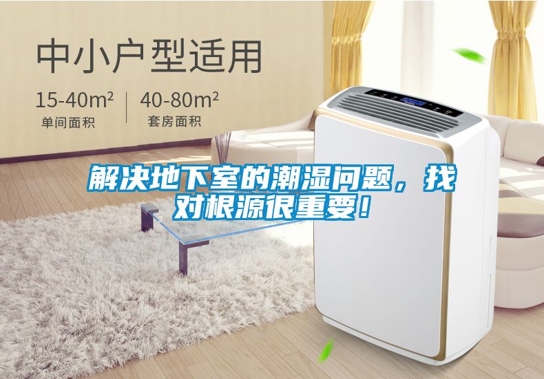 解決地下室的潮濕問題，找對根源很重要！