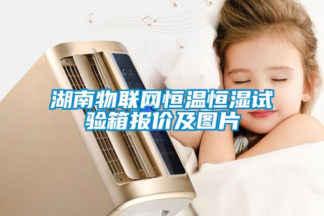 湖南物聯(lián)網恒溫恒濕試驗箱報價及圖片