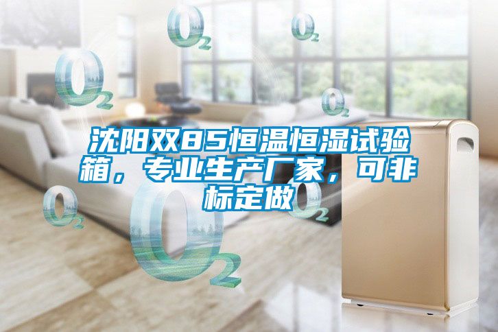 沈陽雙85恒溫恒濕試驗箱，專業(yè)生產(chǎn)廠家，可非標定做
