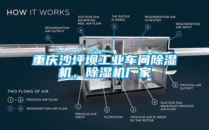 重慶沙坪壩工業(yè)車間除濕機，除濕機廠家