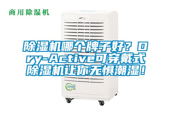 除濕機哪個牌子好？Dry-Active可穿戴式除濕機讓你無懼潮濕！