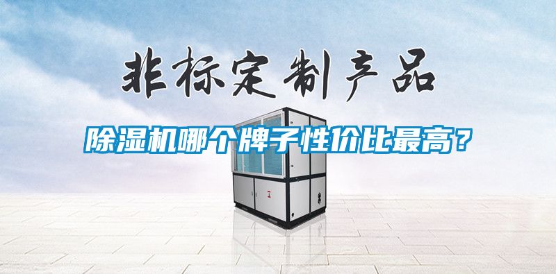 除濕機(jī)哪個(gè)牌子性價(jià)比最高？