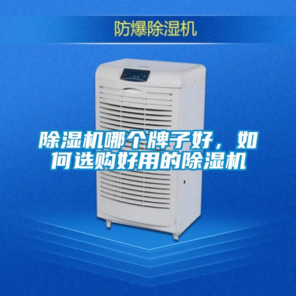 除濕機(jī)哪個(gè)牌子好，如何選購好用的除濕機(jī)