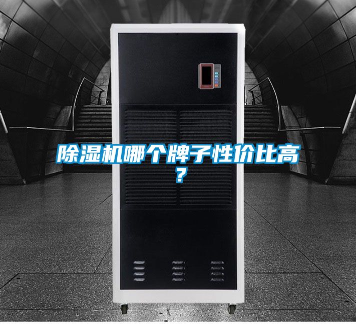 除濕機(jī)哪個(gè)牌子性價(jià)比高？