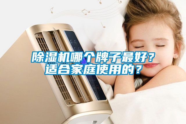 除濕機(jī)哪個(gè)牌子最好？適合家庭使用的？