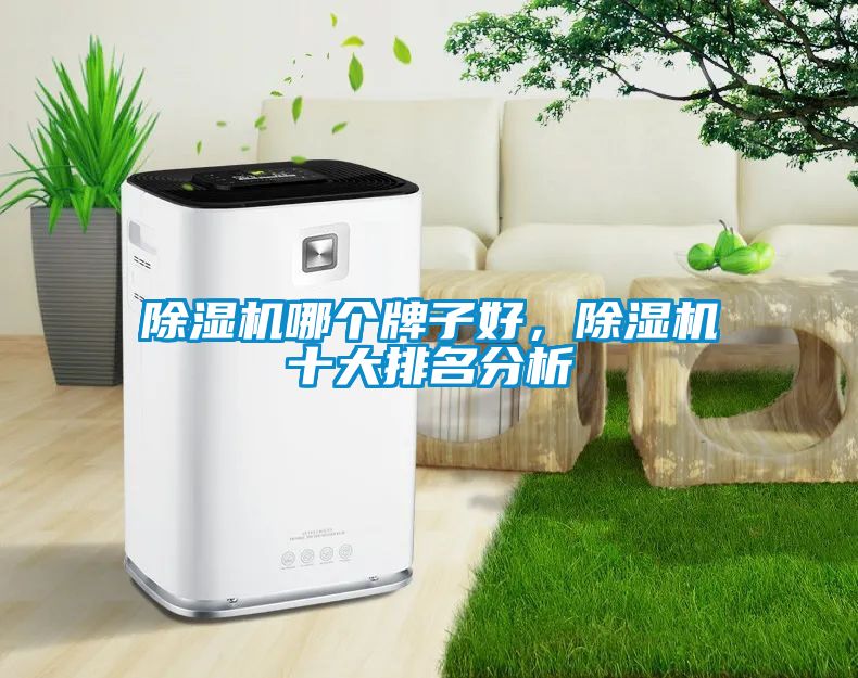 除濕機(jī)哪個牌子好，除濕機(jī)十大排名分析